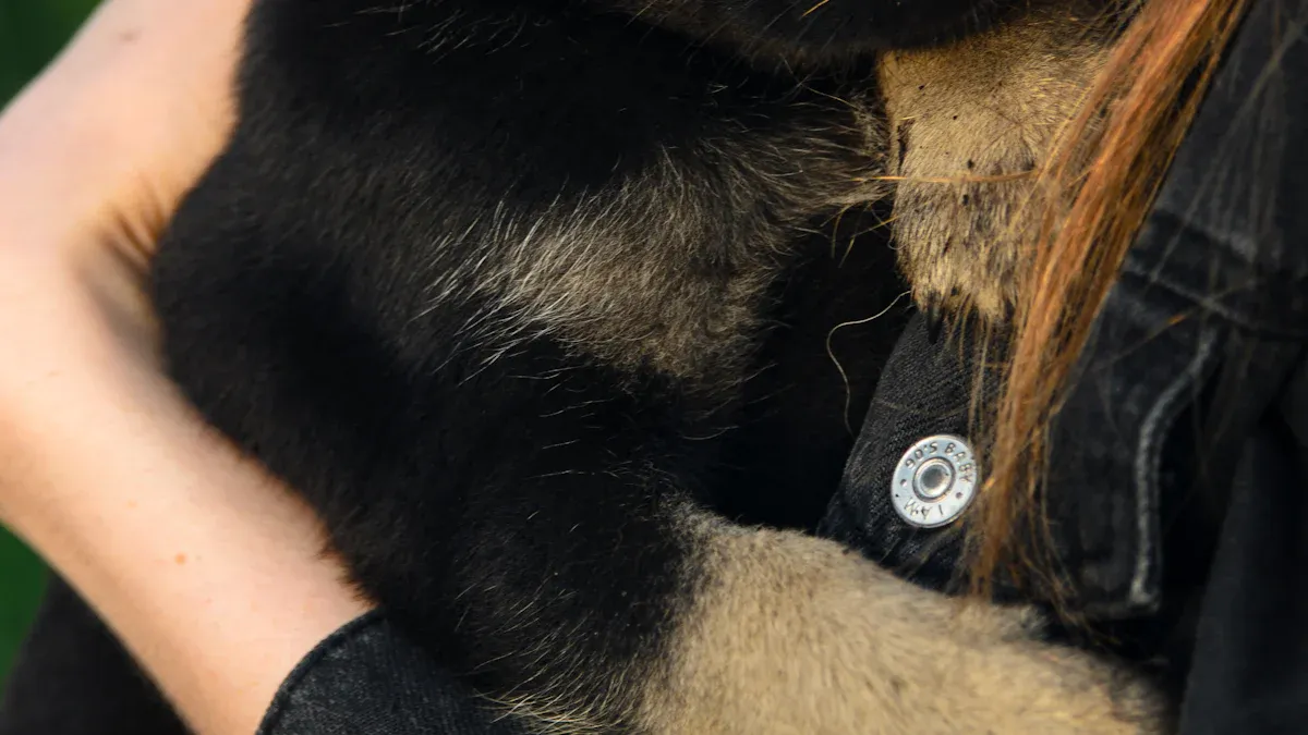 Types of Dog Paw Braces