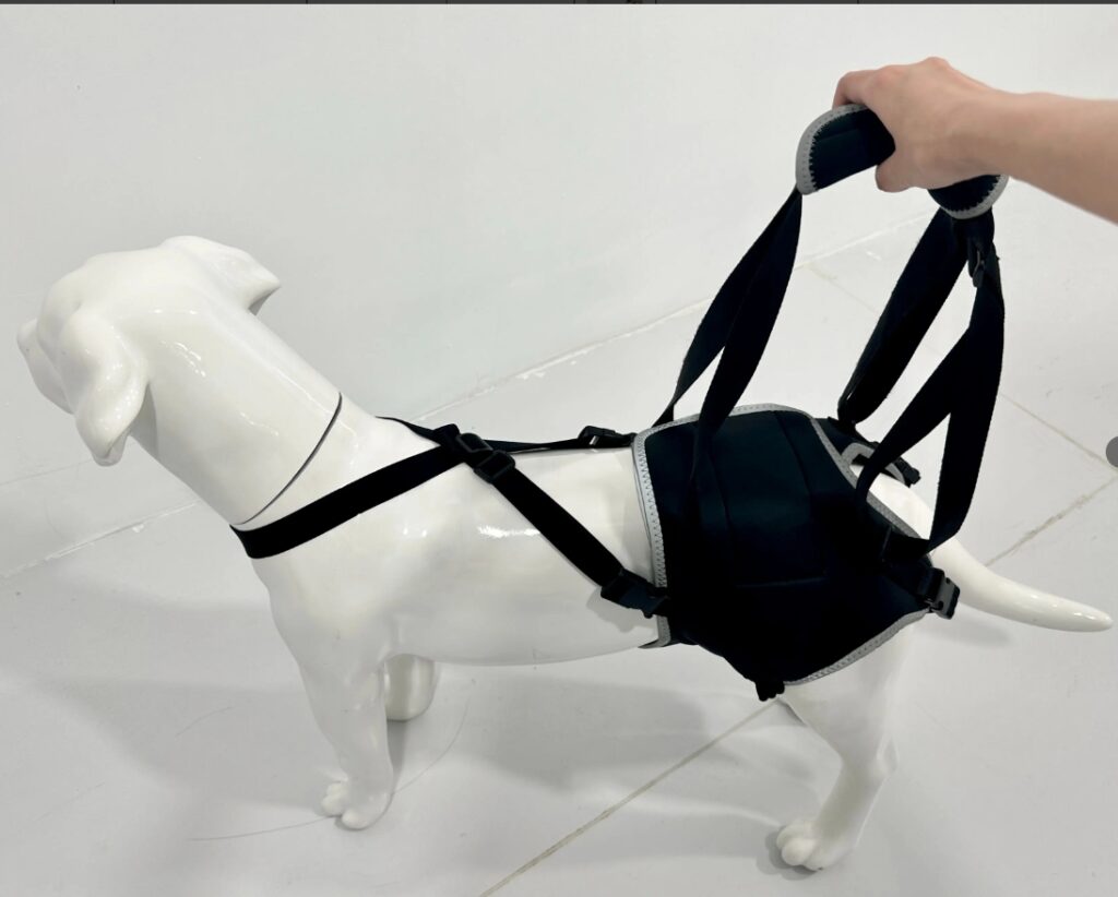 Thigh lift suspenders