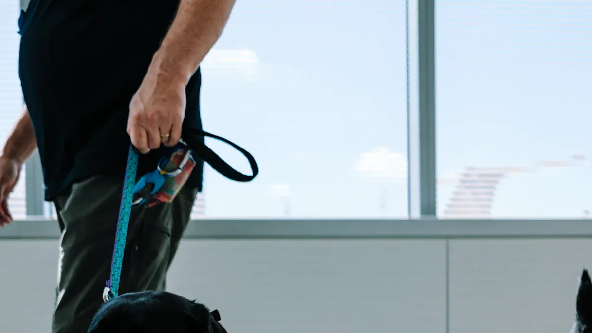 Senior Dog Mobility and Hip Health