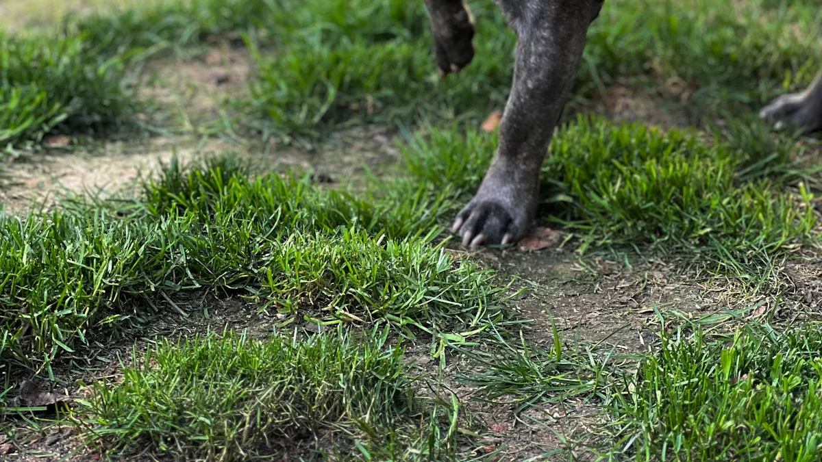 Benefits of 3D Spacer Mesh for Dog Gear