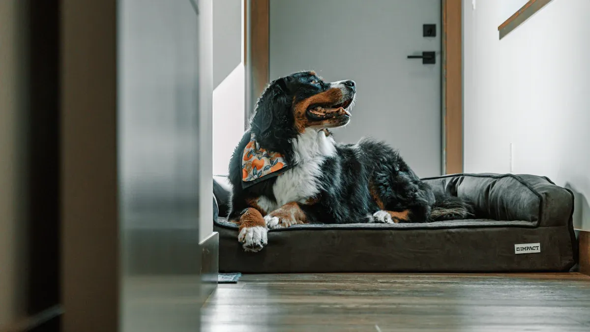 Technical Features of Dog Knee Braces