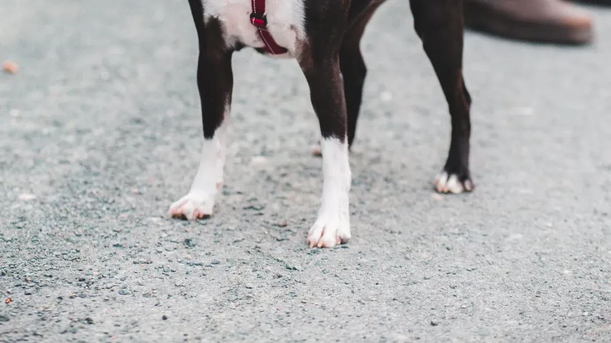 Fur-Friendly Hook and Loop Fastener Design
