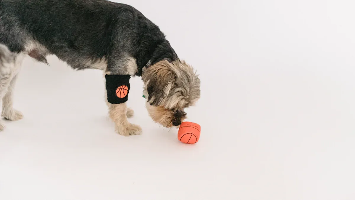 Fitting and Using Knee Braces for Dogs
