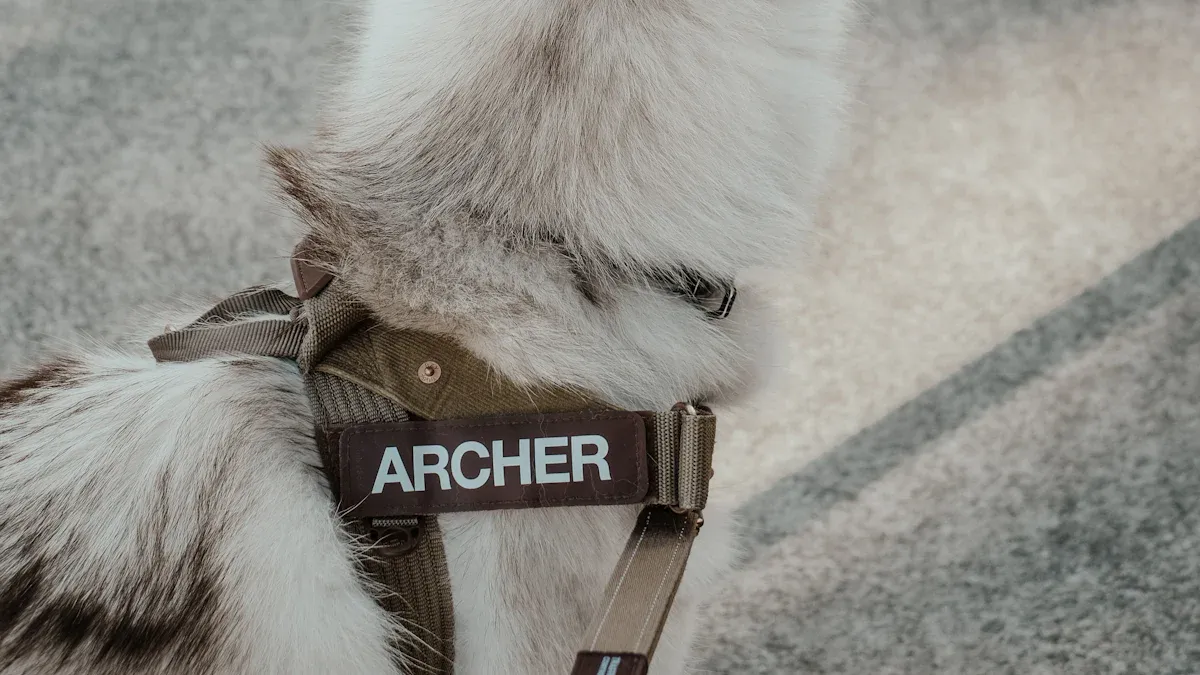 Dog Brace Parts Made by Injection Molding