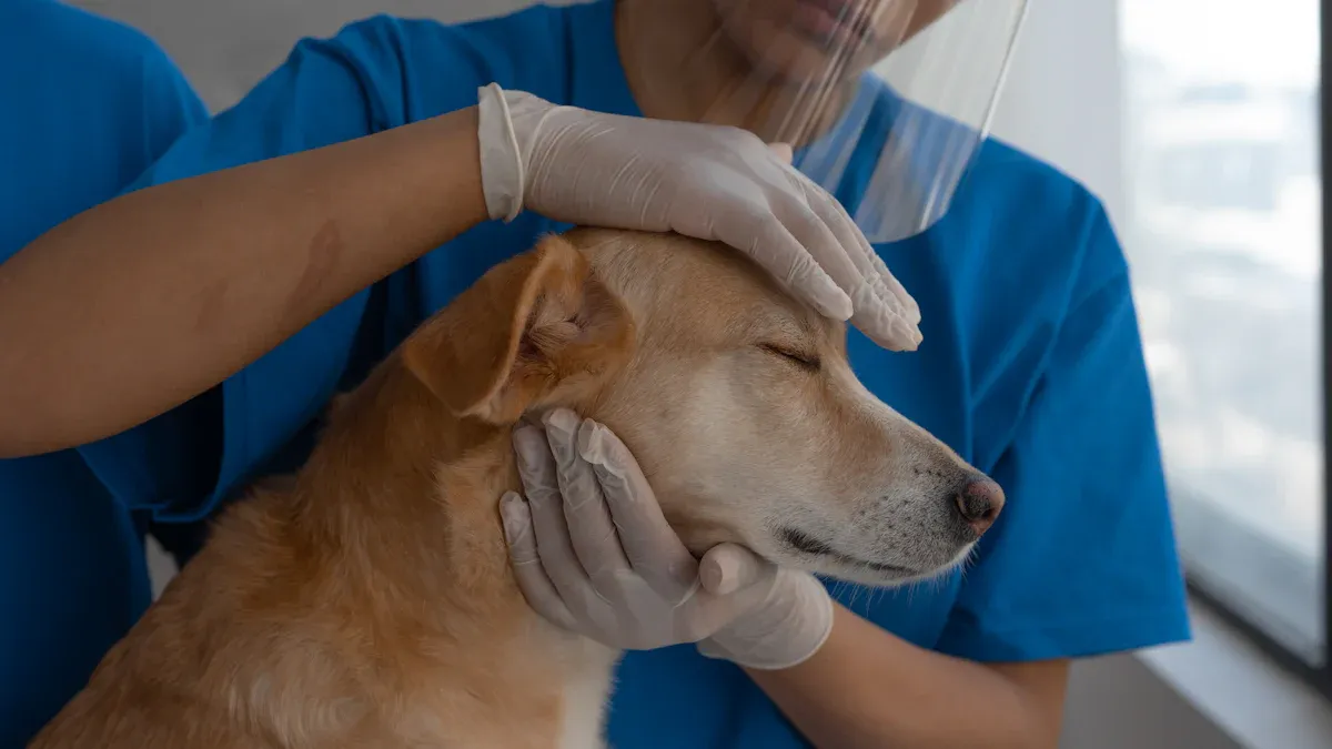 Clinical Indications for Dog Carpal Brace