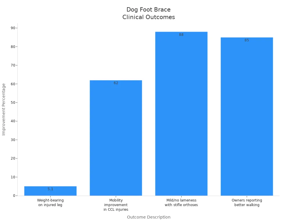 Bar chart showing improvement percentages for dog foot brace clinical outcomes