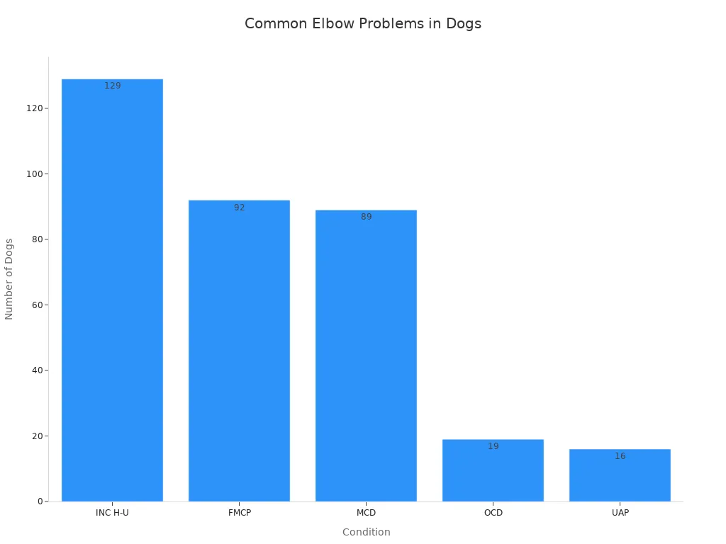 Bar chart showing the most common elbow problems diagnosed in dogs