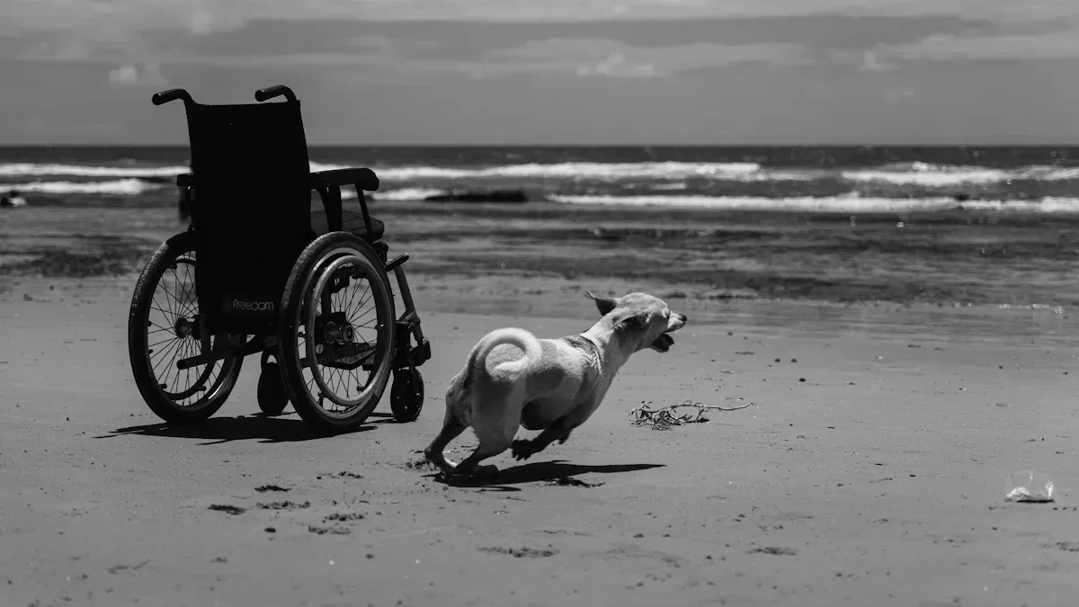 Case Example: Improved Mobility with a Dog Foot Brace