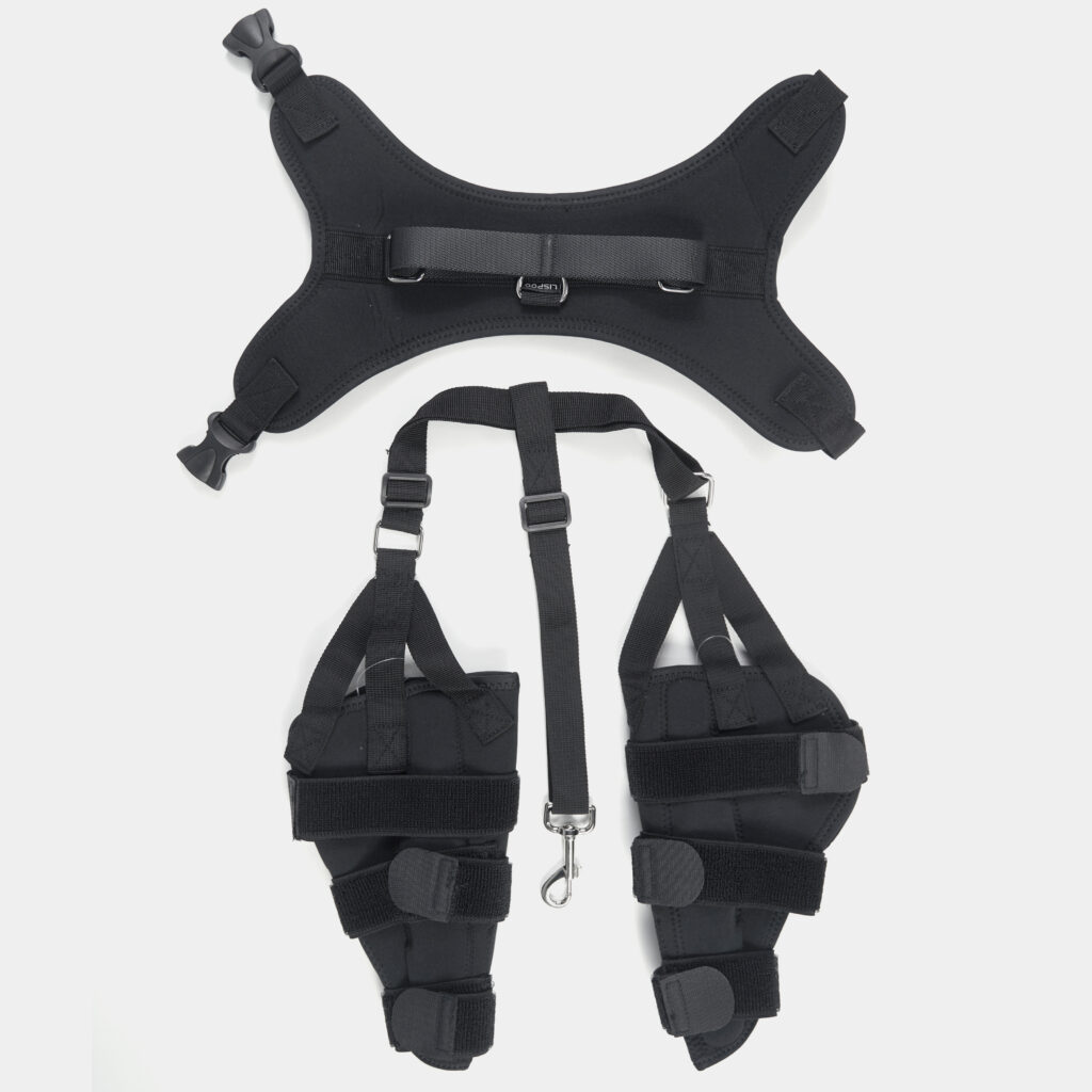 Hind Leg Knee Brace