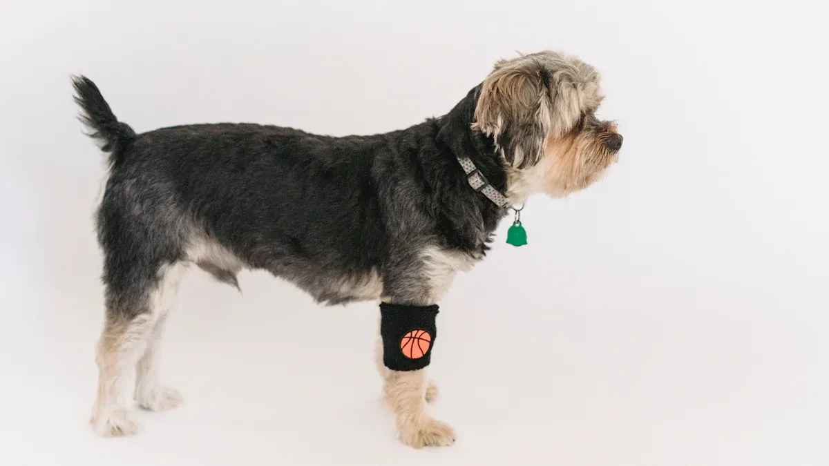 Fitting and Testing Dog Knee Braces