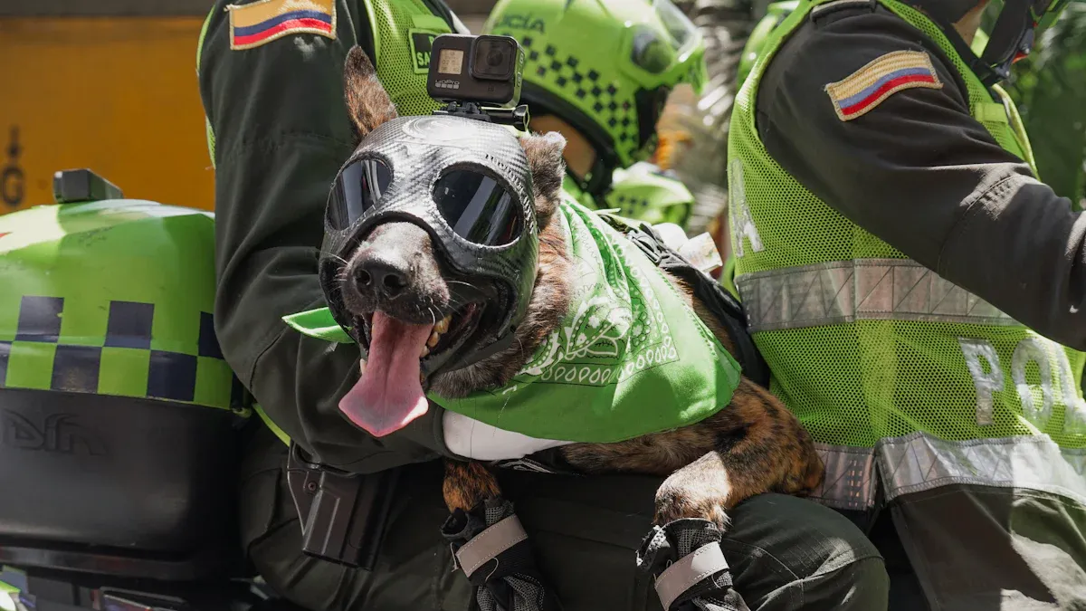 How Braces and Support Harnesses Help Prevent Sports Injuries