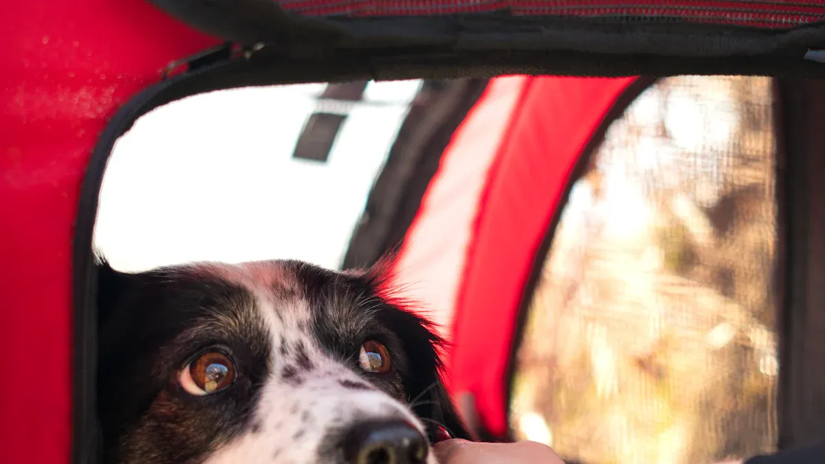 Assisting with a Rear Sling