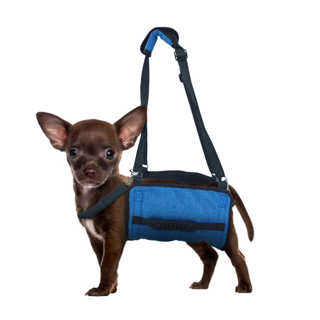 Lift Support Harness