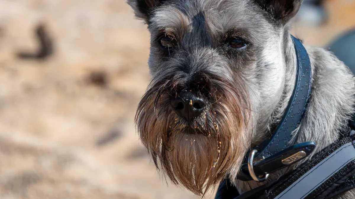 Winter 2025 Brace Features and Fitting Tips