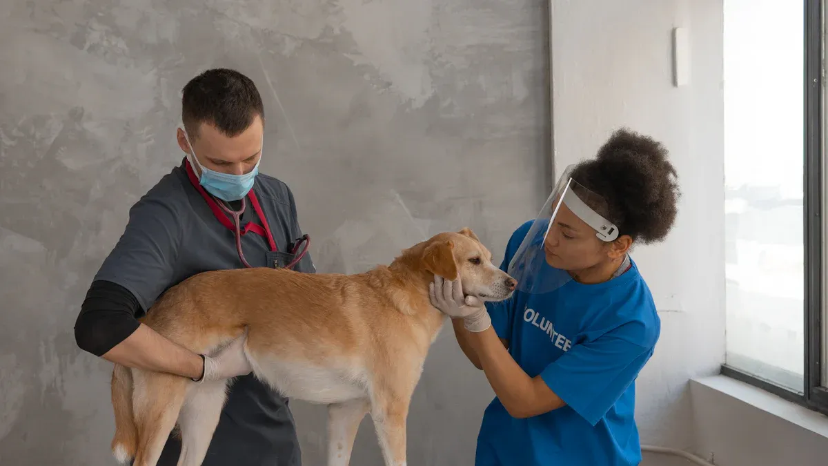 Abnormal swelling and warning signs