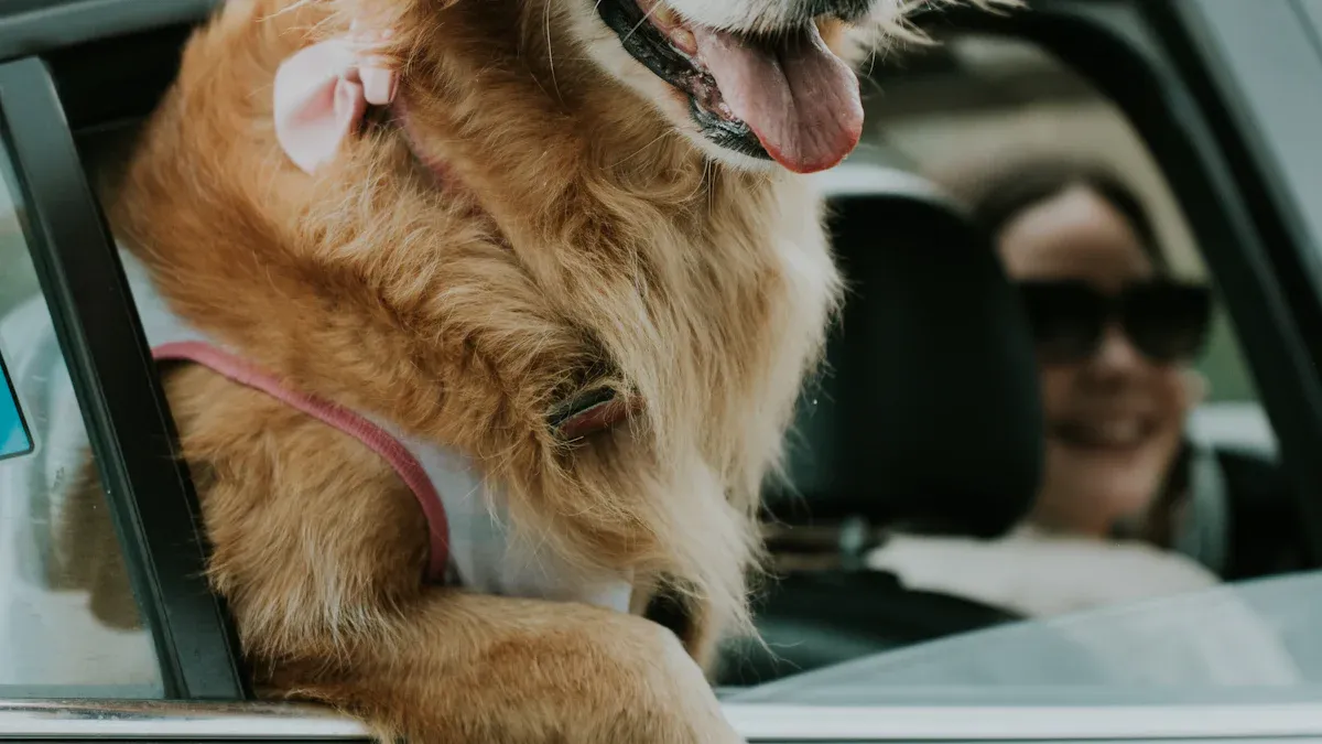 Ramp transfer steps for dog get in car after surgery