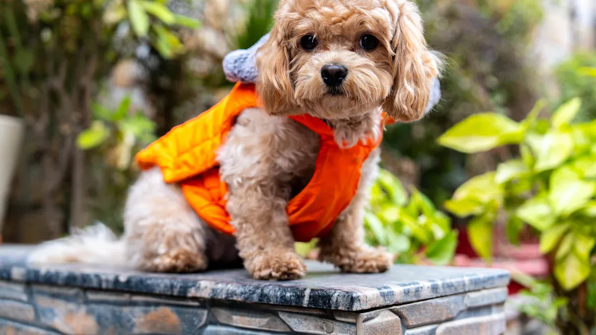 Essential Safety Gear for Dogs in Extreme Heat