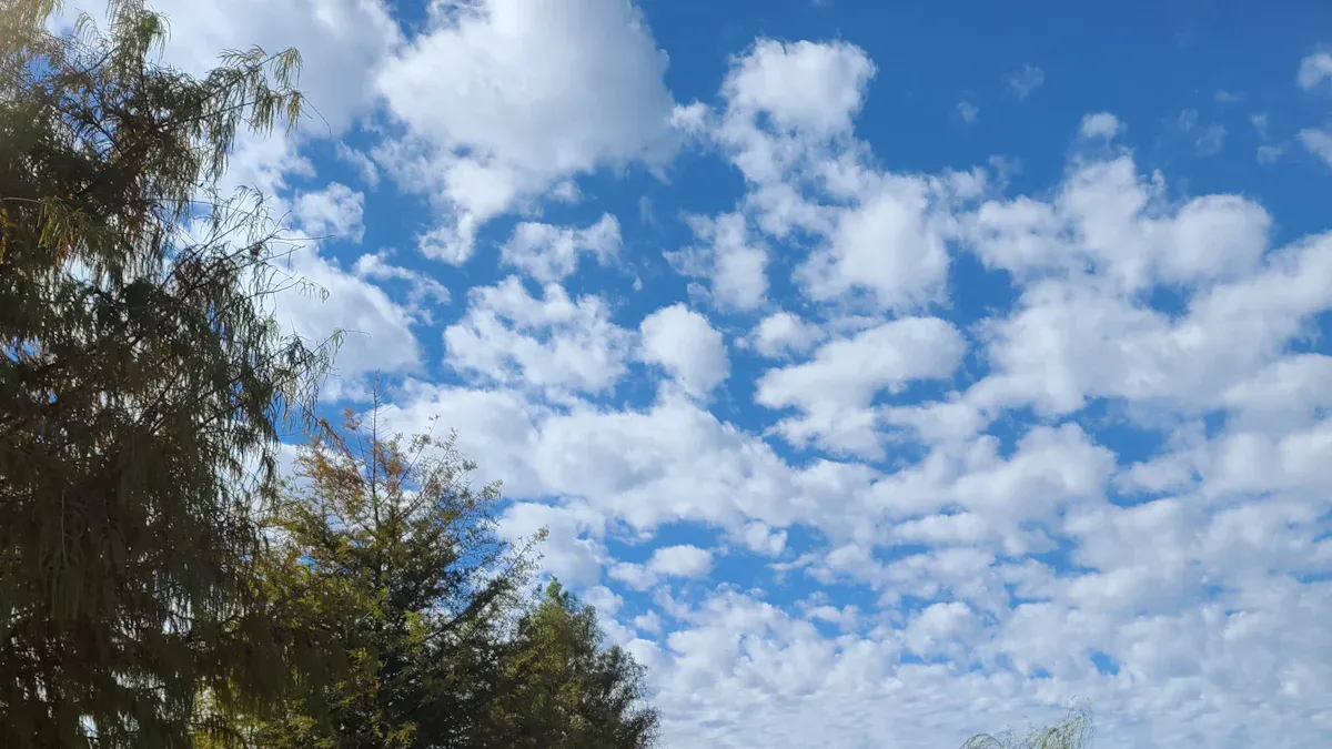 Choosing Urban-Friendly Safety Harnesses