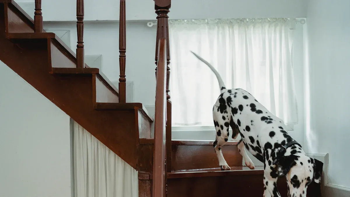 Types of Home Mobility Aids for Senior and Disabled Dogs