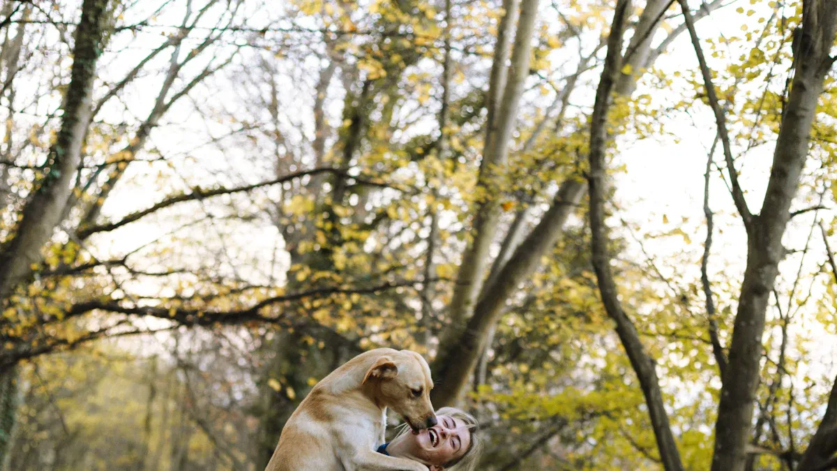 2025 Best Dog Knee Braces for Torn ACL Recovery