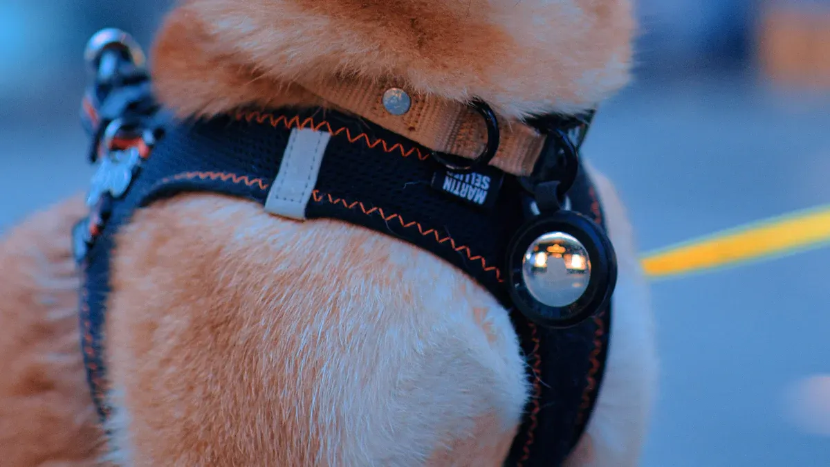 How to measure your dog for a brace