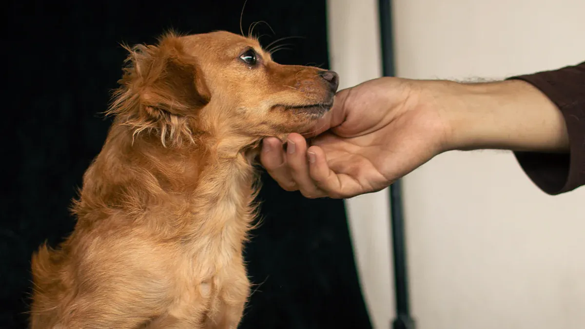 Bandage basics and risks