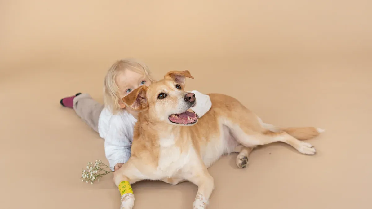 Home care for dogs after CCL injury