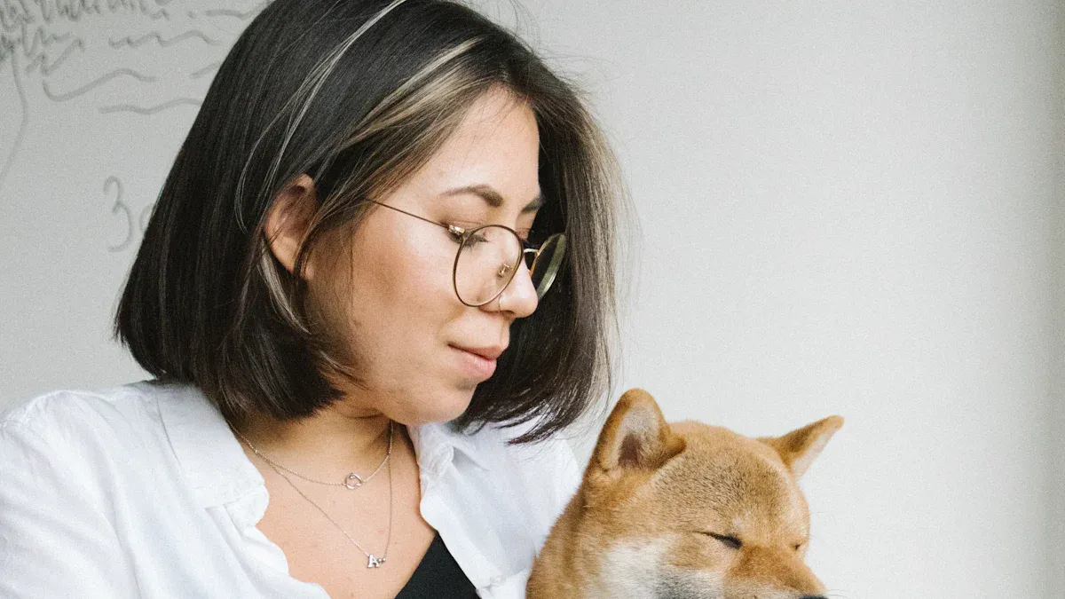 Fitting a dog neck brace: positioning and safety