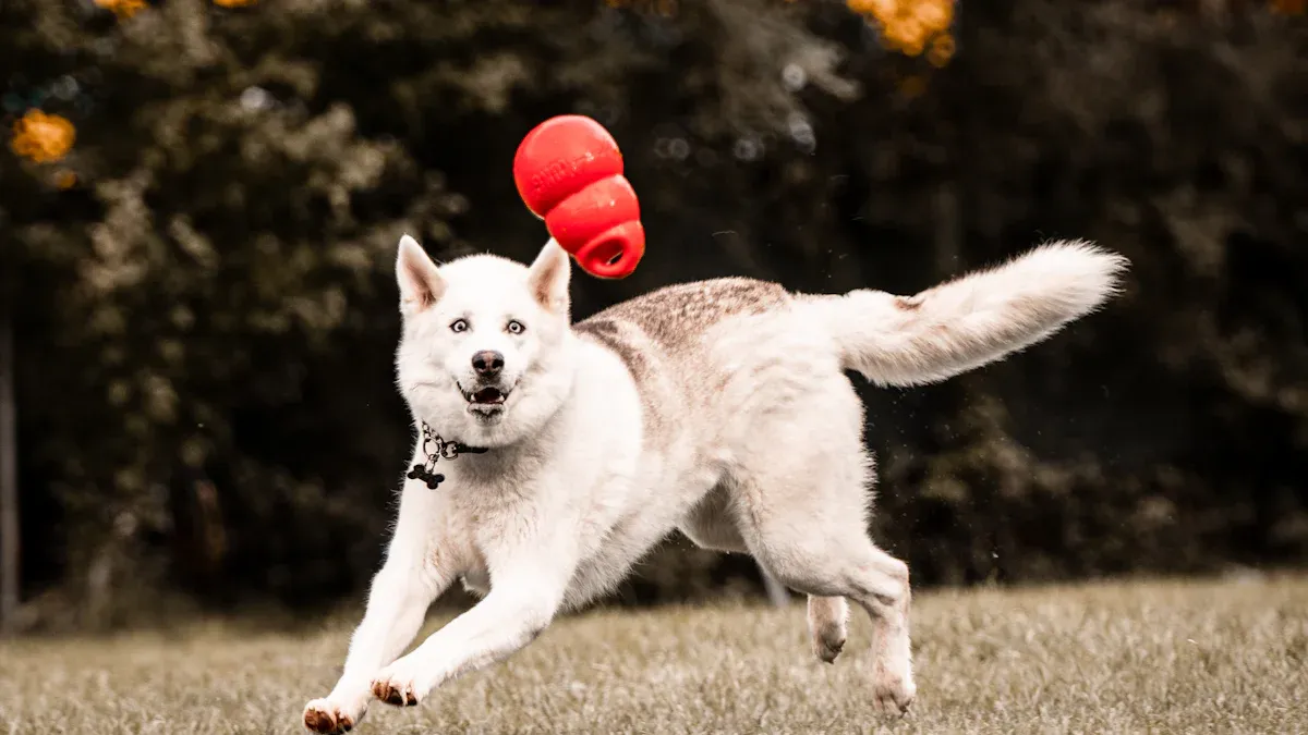 Support gear for dog knuckling paws