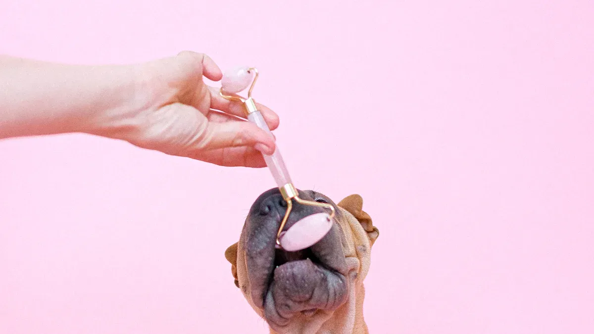 What Is a Hotspot Dog From Licking?