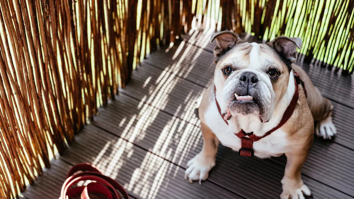 Sizing Systems to Reduce Returns