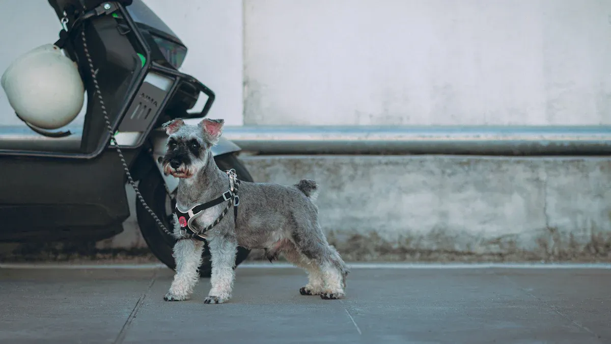 Rear Lift Slings: Support for Mobility