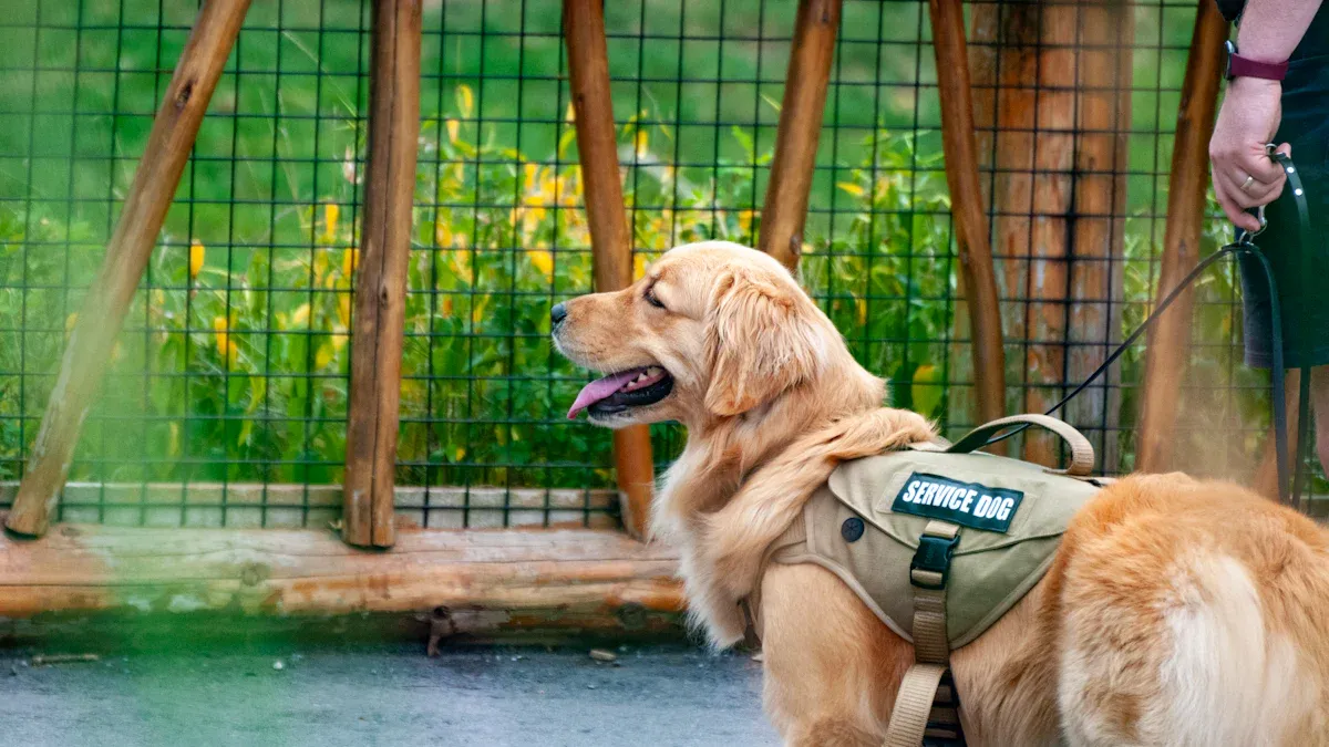 Large breed dog lift harness types and uses