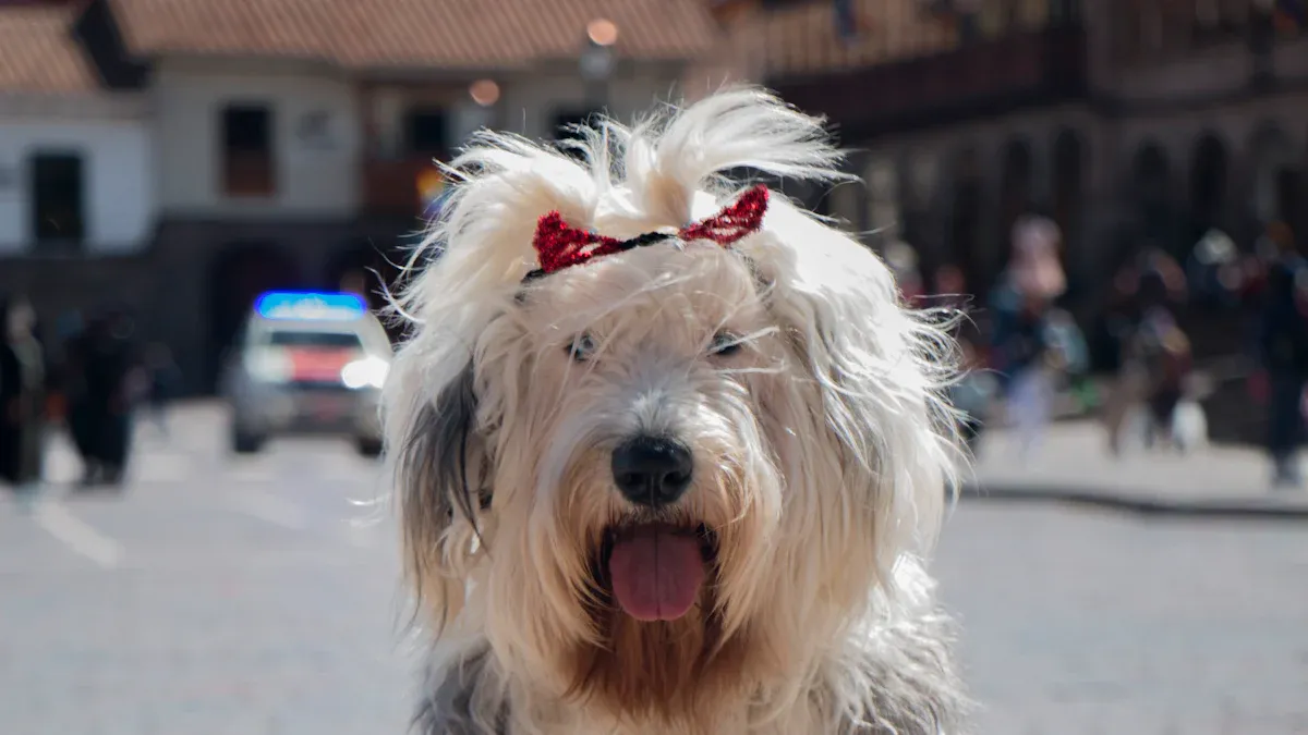 Sizing and Fit for Dogs in Bulk Orders