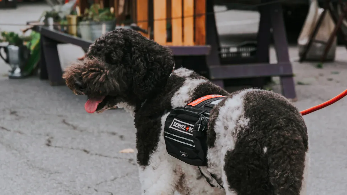 Dog support harness fit and comfort