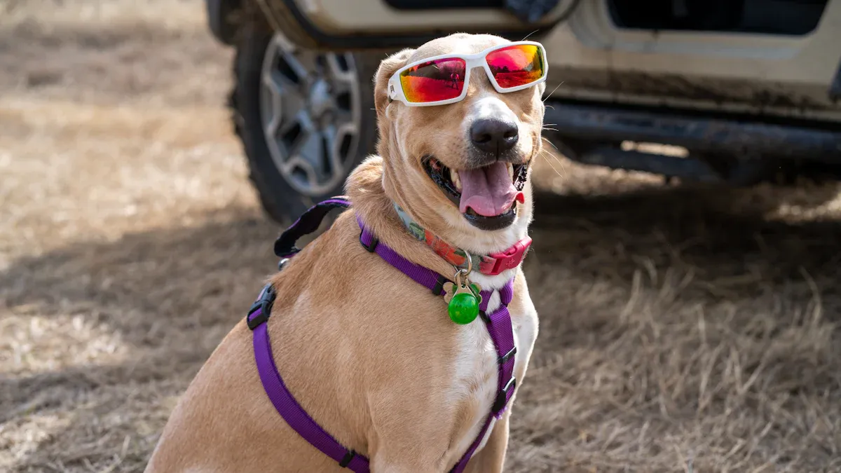 New Year’s Eve Fireworks Anxiety Safety Gear for Dogs