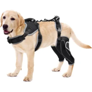 Adjustable Dog Rear Leg Brace