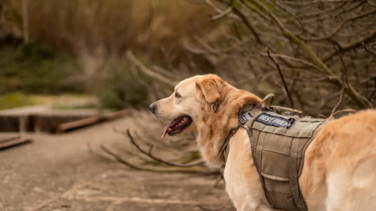 Measuring and Fitting the Harness