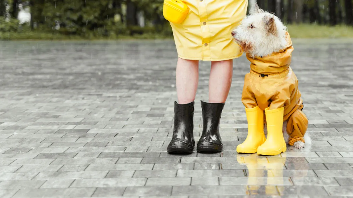 Fit and Safety Checks for Dog Boots and Covers