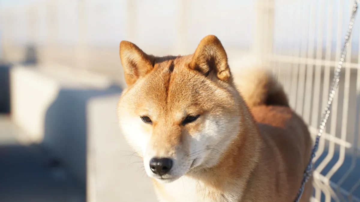 Fit Problems and How to Prevent Pressure Sores