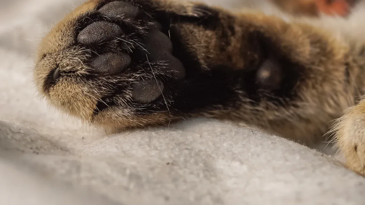 Paw Care for Better Grip