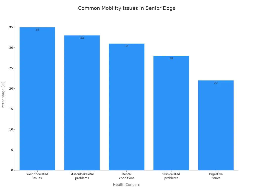 Bar chart showing the most common health concerns affecting senior dogs, including weight, musculoskeletal, dental, skin, and digestive issues.