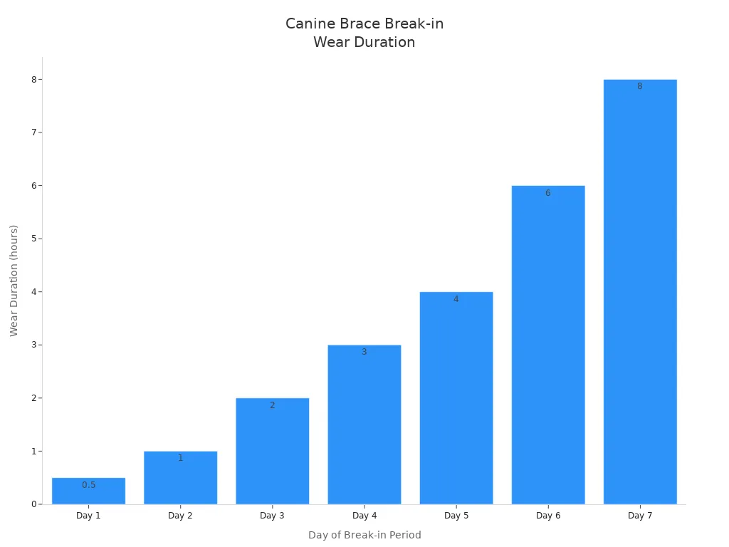Bar chart showing daily increase in canine brace wear duration over a 7-day break-in period
