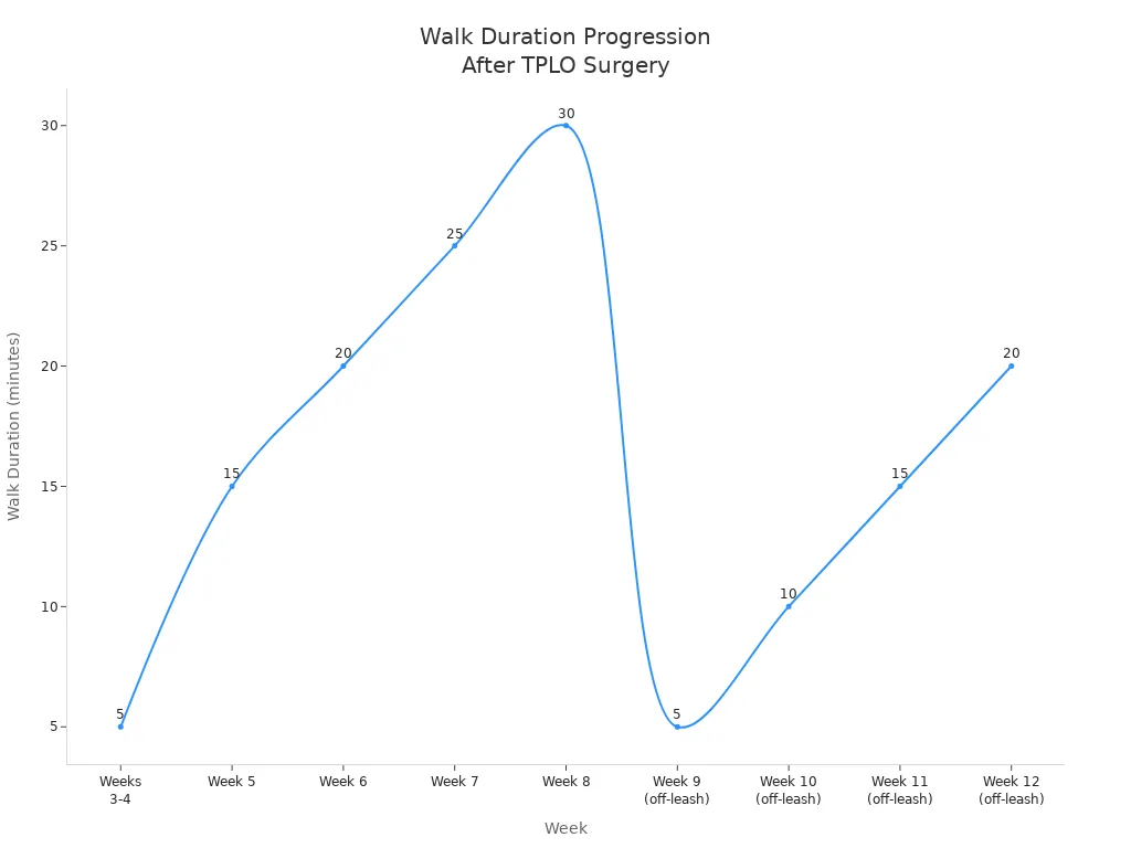 Line chart showing increasing walk duration by week after TPLO surgery