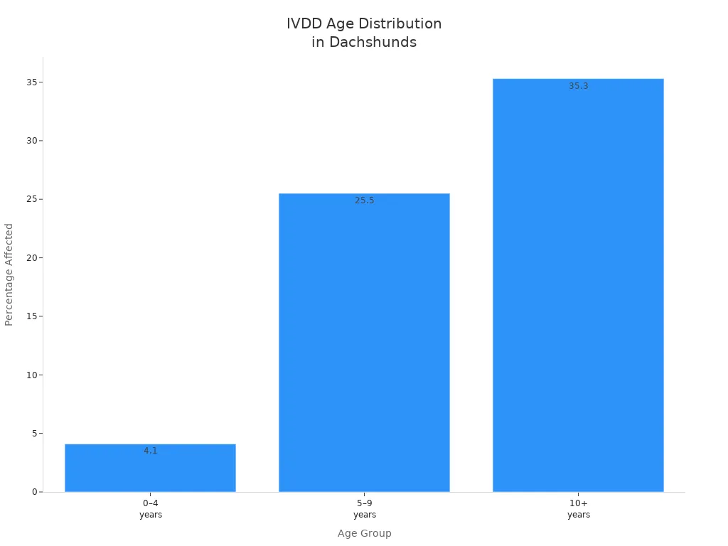 Bar chart showing IVDD percentage by age group in Dachshunds