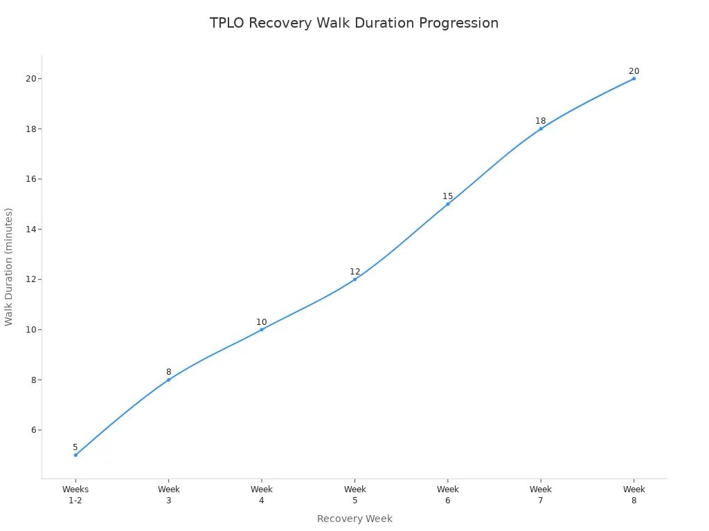 Line chart showing recommended walk duration increasing weekly during TPLO recovery