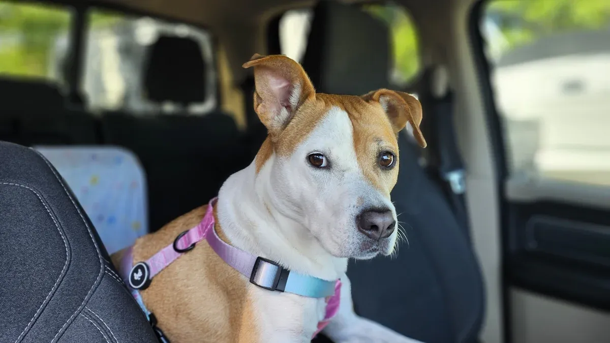 Types of Dog Harnesses for Holiday Travel
