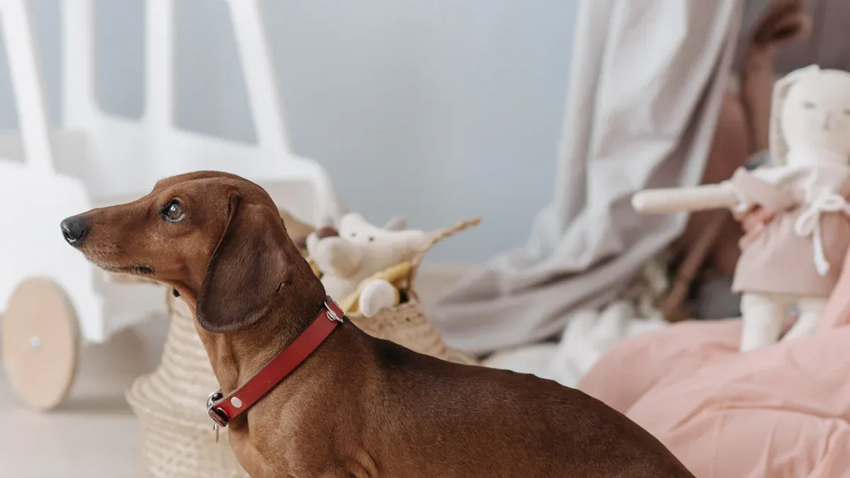 Choosing Orthopedic Braces for Your Inventory