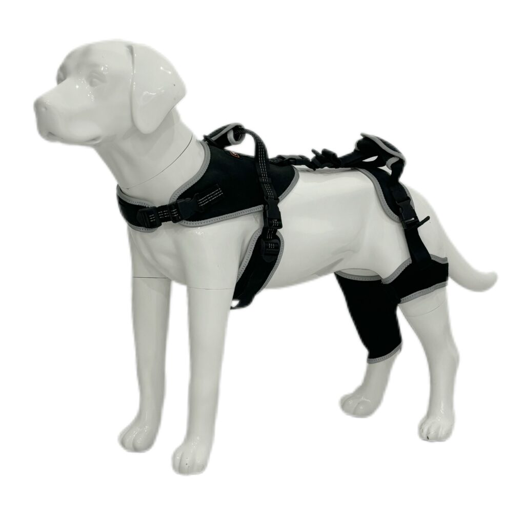 Adjustable Dog Rear Leg Brace