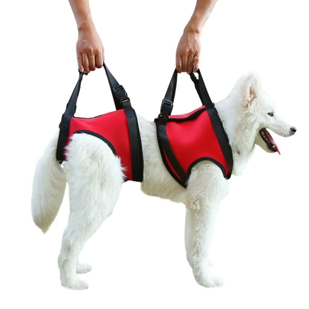 Lift Harness for Front and Hind Legs